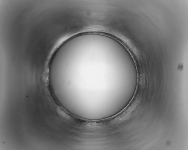 X0000102361366200808151804