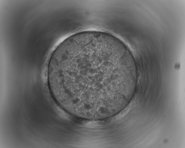 X0000102361367200808151804