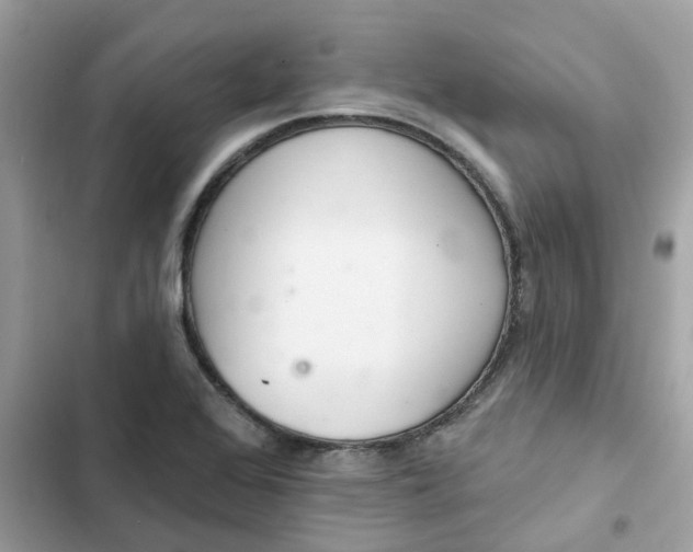 X0000102361368200808151804