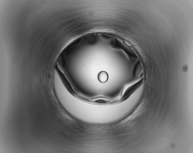 X0000102361369200808151804