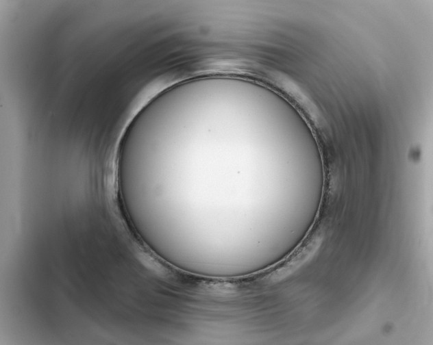 X0000102361370200808151803