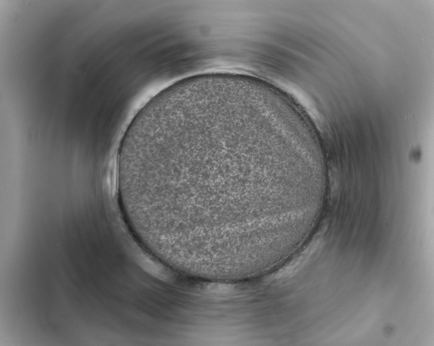 X0000102361371200808151803