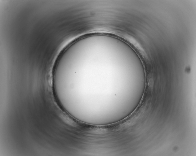 X0000102361372200808151803