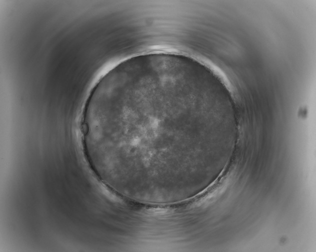 X0000102361373200808151803