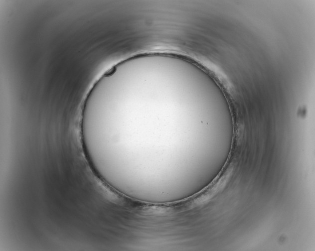 X0000102361374200808151803