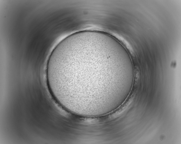 X0000102361375200808151803