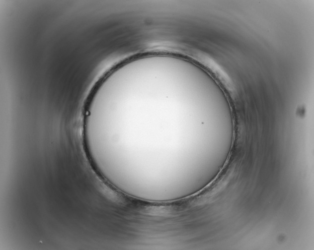 X0000102361376200808151803