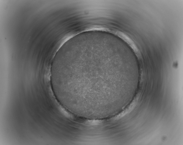 X0000102361377200808151803