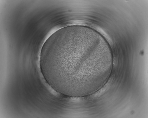 X0000102361378200808151803