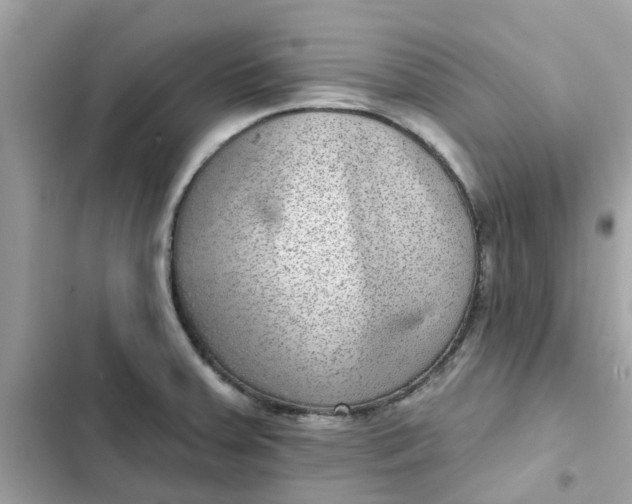 X0000102361379200808151803