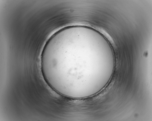 X0000102361380200808151803