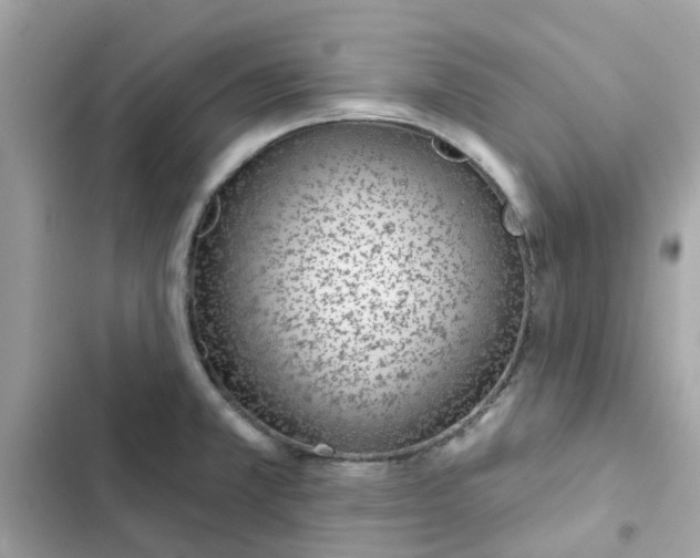 X0000102361381200808151803