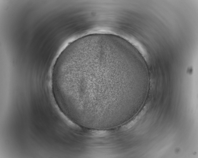 X0000102361382200808151803