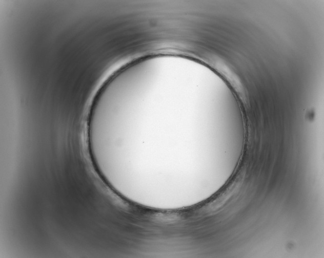 X0000102361384200808151803