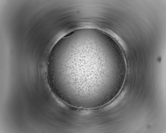 X0000102361385200808151803