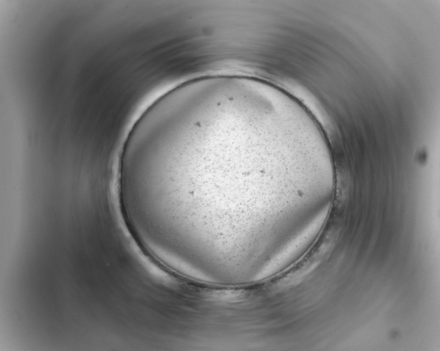 X0000102361387200808151803