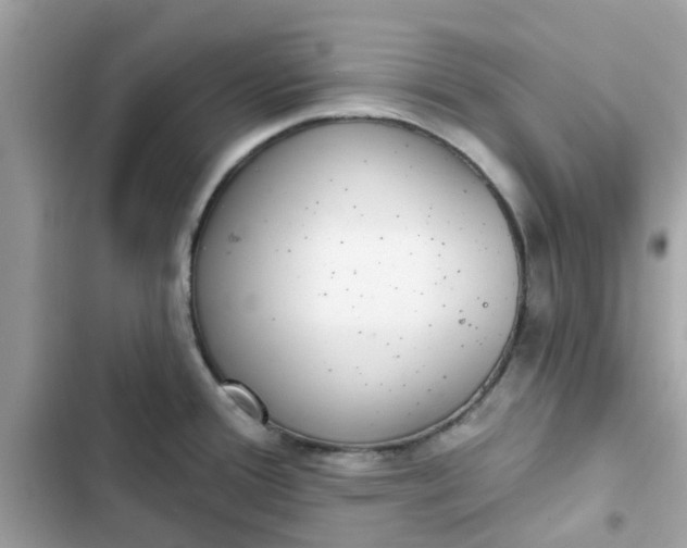 X0000102361388200808151803