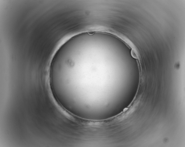 X0000102361389200808151803