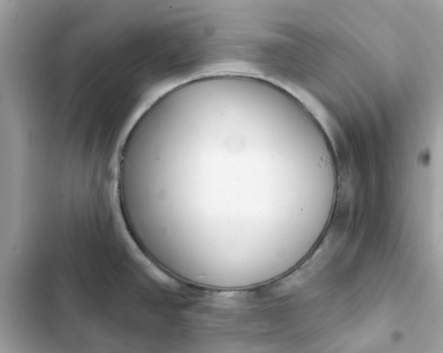 X0000102361390200808151803