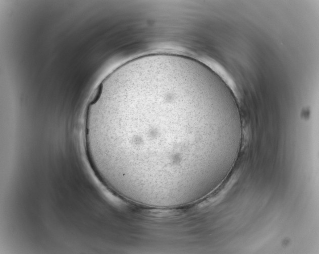 X0000102361391200808151803