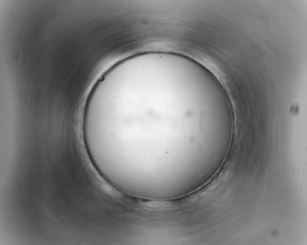 X0000102361392200808151803