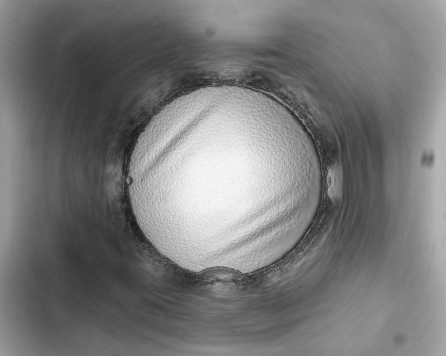 X0000102361395200808151803