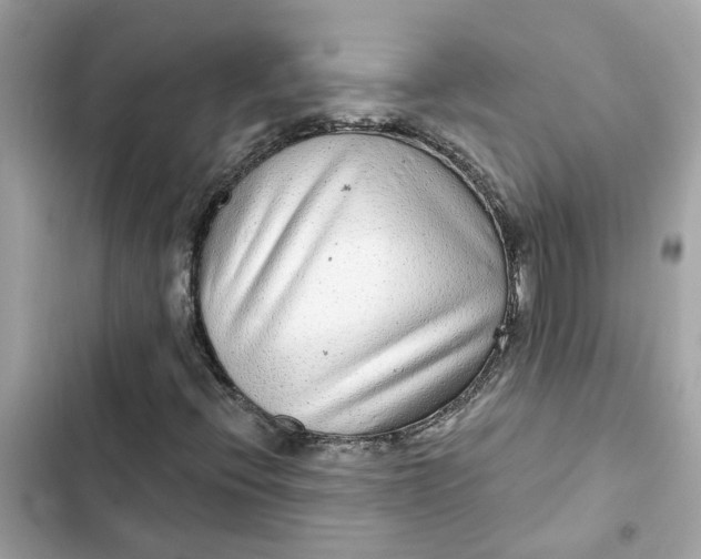 X0000102361396200808151803