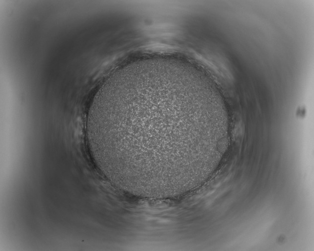 X0000102361397200808151803