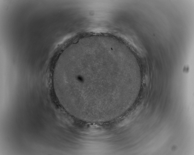 X0000102361398200808151803