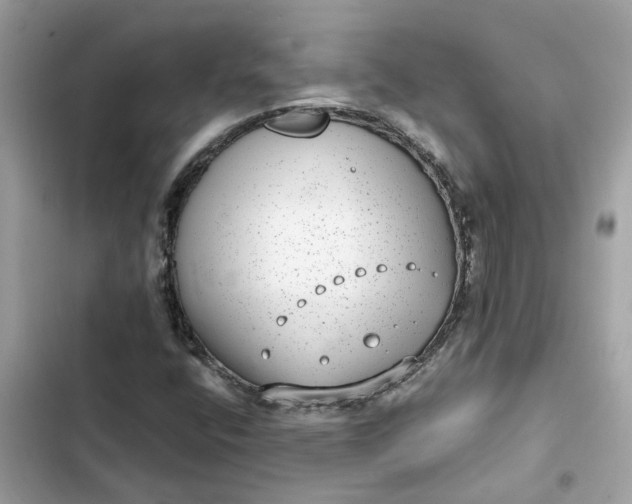 X0000102361400200808151803