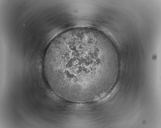 X0000102361401200808151803