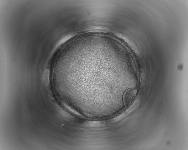 X0000102361402200808151803