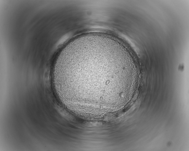 X0000102361403200808151803