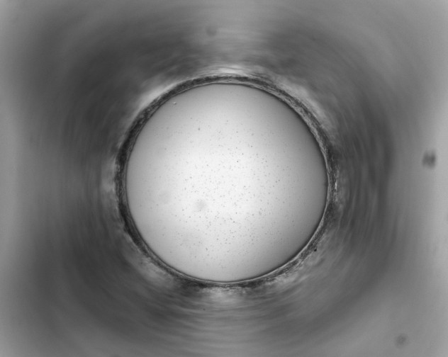 X0000102361404200808151803