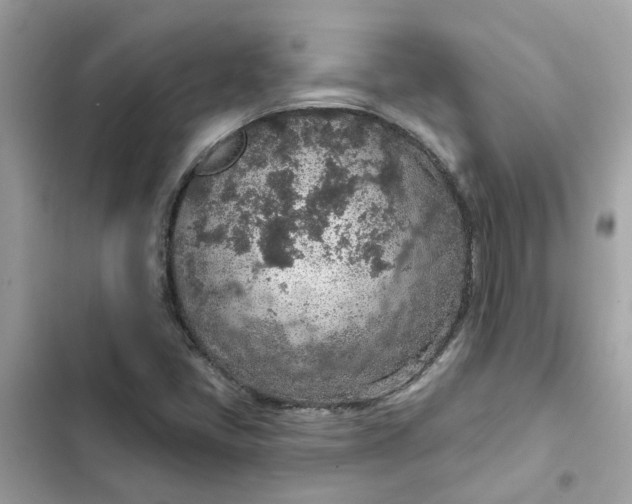 X0000102361405200808151803