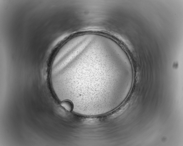 X0000102361406200808151803