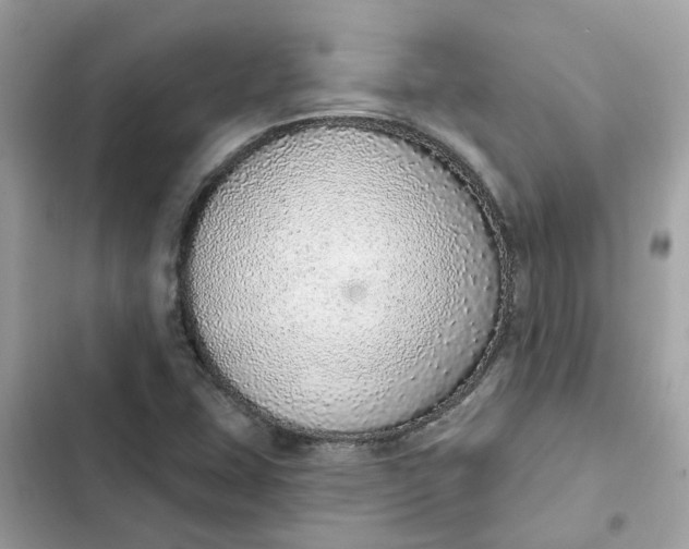 X0000102361407200808151803