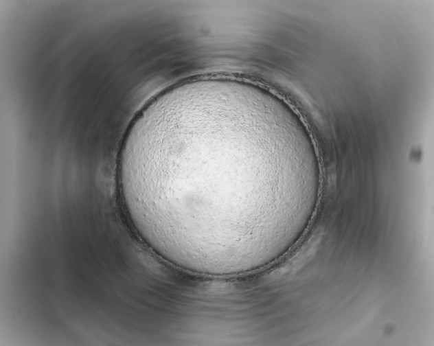 X0000102361409200808151803