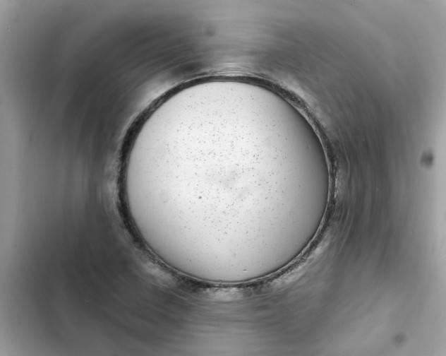 X0000102361410200808151803