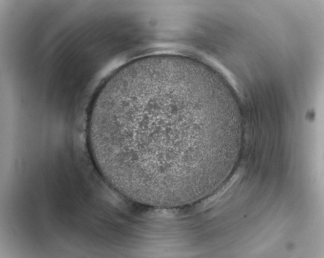 X0000102361411200808151803