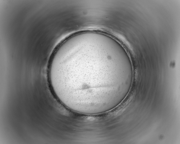 X0000102361412200808151803