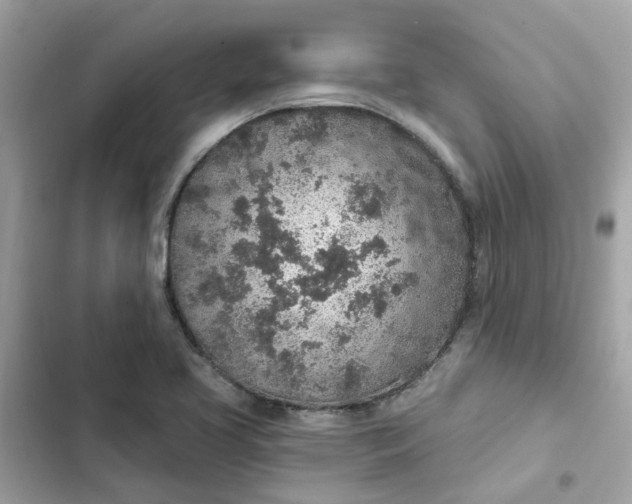 X0000102361413200808151803