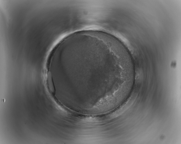 X0000102361414200808151803