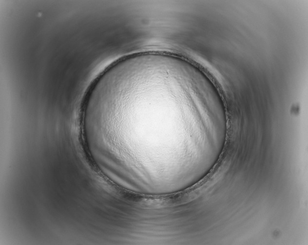 X0000102361415200808151803