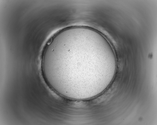 X0000102361416200808151803