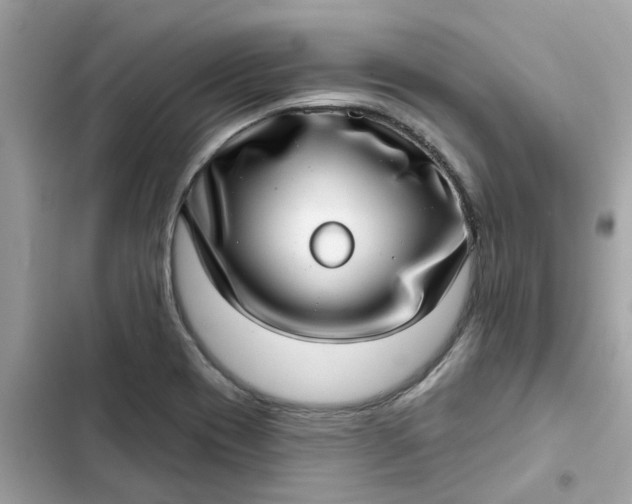 X0000102361417200808151803