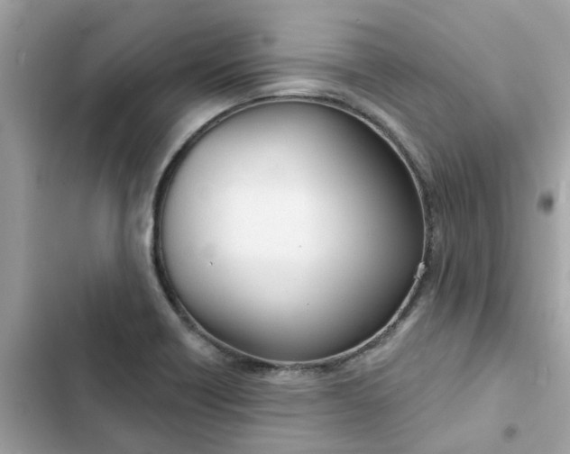 X0000102361418200808151803