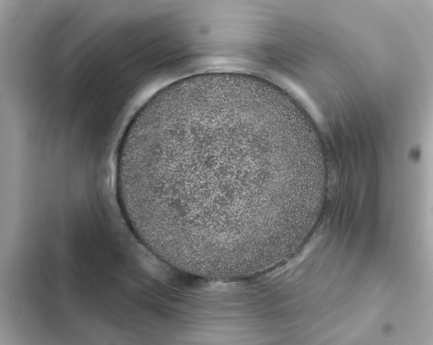 X0000102361419200808151803