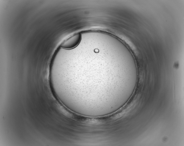 X0000102361420200808151803