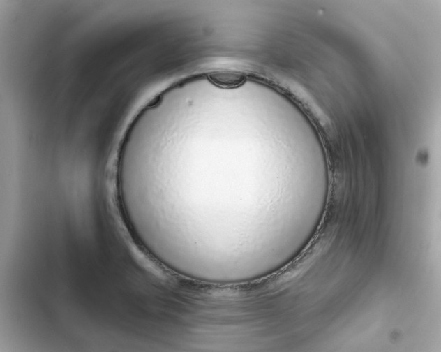 X0000102361421200808151803